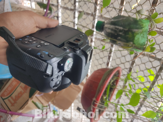 Canon 800D with 50mm 1.8 lens